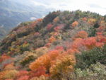 紅葉の寒霞渓とエンジェルロード/天使の散歩道（香川）